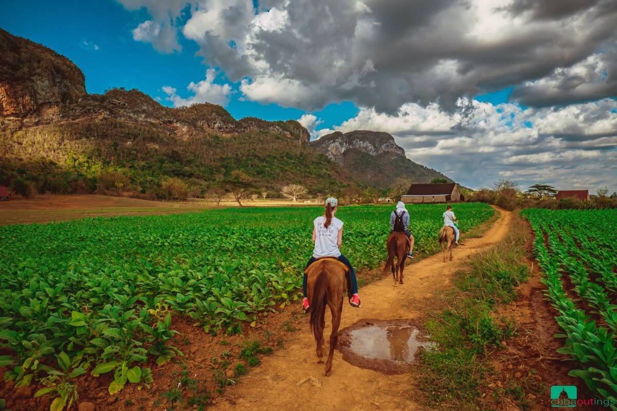 The best excursions to Viñales